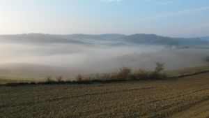 Panoramablick Ried Kühberg