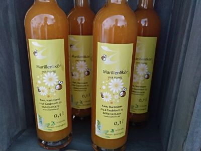 Marillenlikör mit Honig